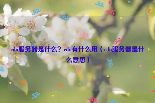 cdn服务器是什么？cdn有什么用（cdn服务器是什么意思）
