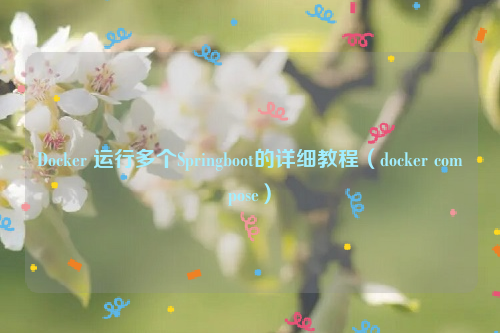 Docker 运行多个Springboot的详细教程（docker compose）