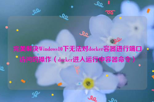 完美解决Windows10下无法对docker容器进行端口访问的操作（docker进入运行中容器命令）