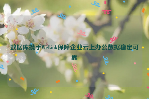数据库携手WeLink保障企业云上办公数据稳定可靠
