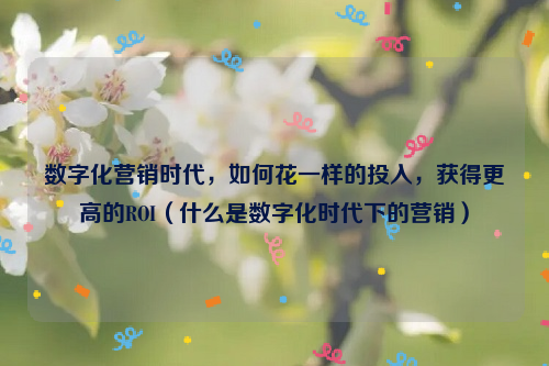 数字化营销时代，如何花一样的投入，获得更高的ROI（什么是数字化时代下的营销）