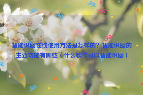 智能识图在线使用方法是怎样的？智能识图的主要功能有哪些（什么软件可以智能识图）