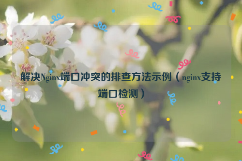 解决Nginx端口冲突的排查方法示例（nginx支持端口检测）