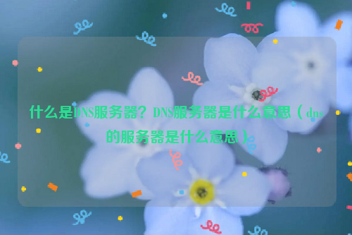 什么是DNS服务器？DNS服务器是什么意思（dns的服务器是什么意思）