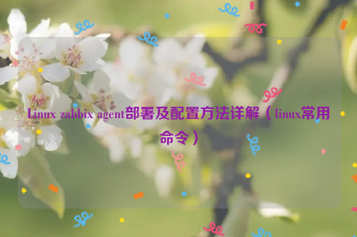 Linux zabbix agent部署及配置方法详解（linux常用命令）