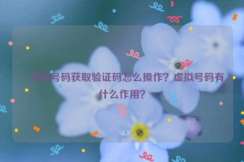 虚拟号码获取验证码怎么操作？虚拟号码有什么作用？