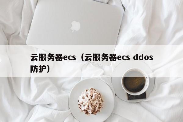 云服务器ecs（云服务器ecs ddos防护）