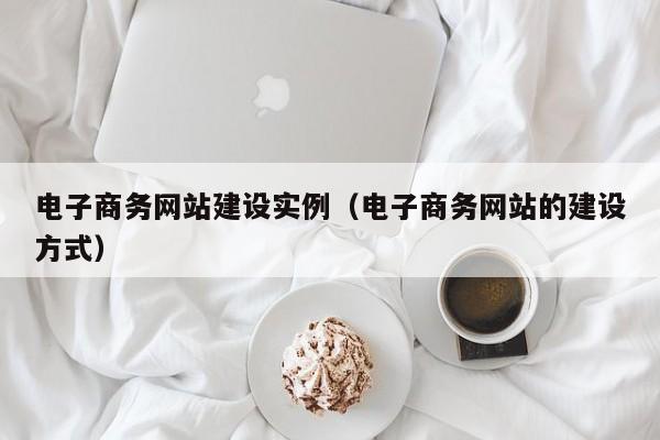 电子商务网站建设实例（电子商务网站的建设方式）
