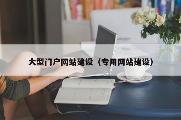 大型门户网站建设（专用网站建设）