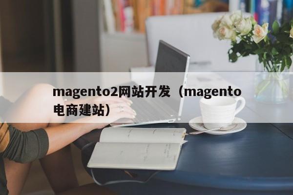 magento2网站开发（magento电商建站）
