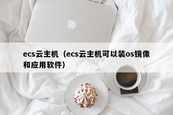 ecs云主机（ecs云主机可以装os镜像和应用软件）