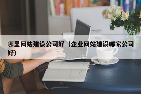 哪里网站建设公司好（企业网站建设哪家公司好）