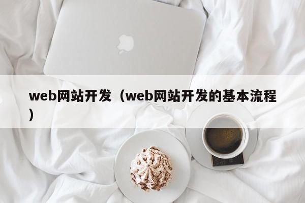 web网站开发（web网站开发的基本流程）