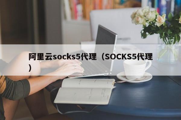 阿里云socks5代理（SOCKS5代理）