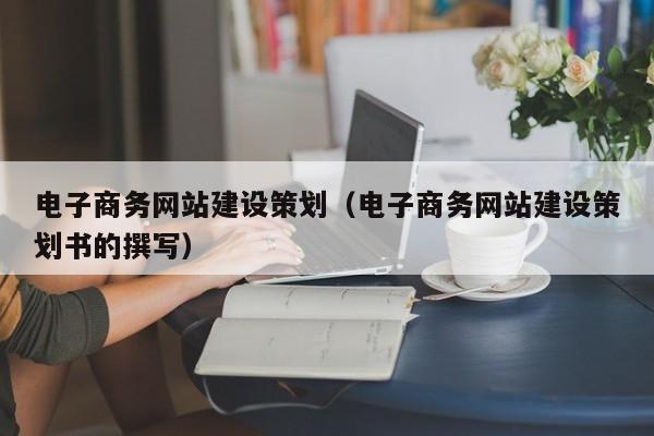 电子商务网站建设策划（电子商务网站建设策划书的撰写）
