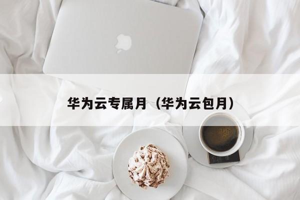 华为云专属月（华为云包月）