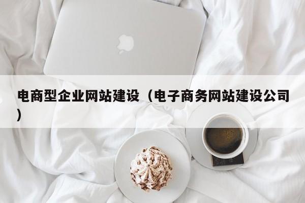 电商型企业网站建设（电子商务网站建设公司）