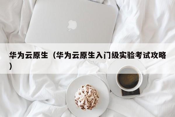 华为云原生（华为云原生入门级实验考试攻略）