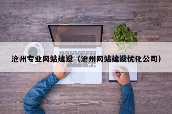 沧州专业网站建设（沧州网站建设优化公司）