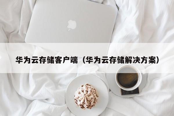 华为云存储客户端（华为云存储解决方案）