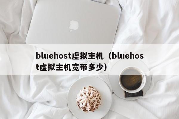 bluehost虚拟主机（bluehost虚拟主机宽带多少）