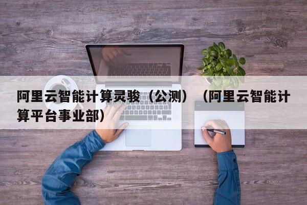 阿里云智能计算灵骏（公测）（阿里云智能计算平台事业部）