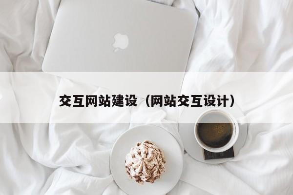 交互网站建设（网站交互设计）