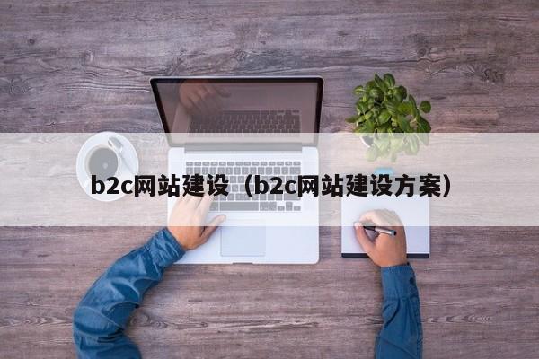 b2c网站建设（b2c网站建设方案）