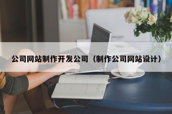 公司网站制作开发公司（制作公司网站设计）