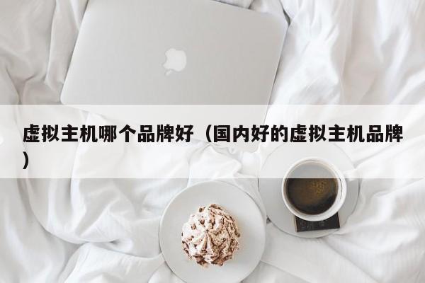 虚拟主机哪个品牌好（国内好的虚拟主机品牌）