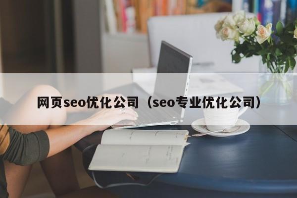 网页seo优化公司（seo专业优化公司）