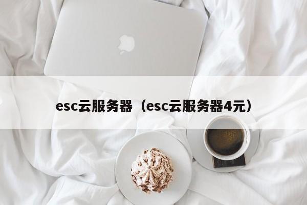 esc云服务器（esc云服务器4元）