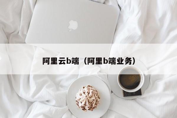阿里云b端（阿里b端业务）