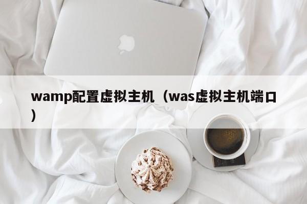 wamp配置虚拟主机（was虚拟主机端口）