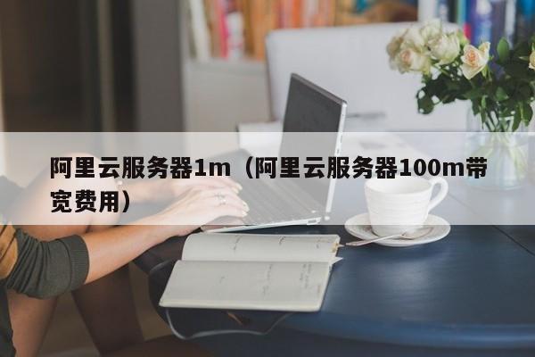 阿里云服务器1m（阿里云服务器100m带宽费用）