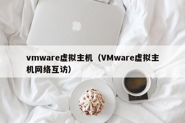 vmware虚拟主机（VMware虚拟主机网络互访）