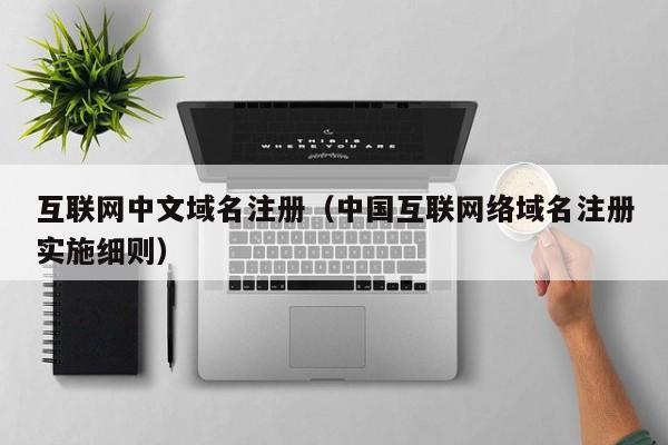 互联网中文域名注册（中国互联网络域名注册实施细则）