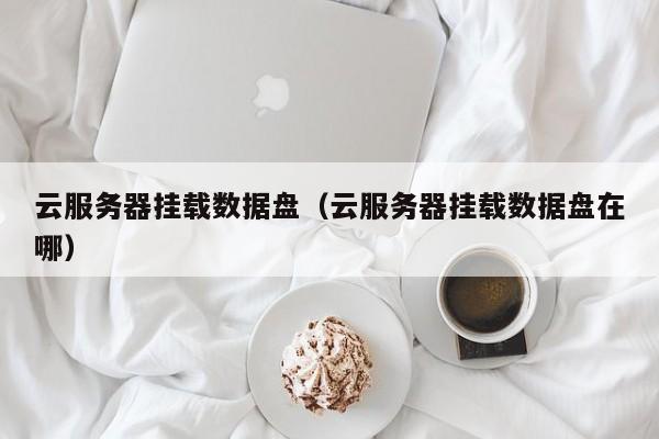 云服务器挂载数据盘（云服务器挂载数据盘在哪）