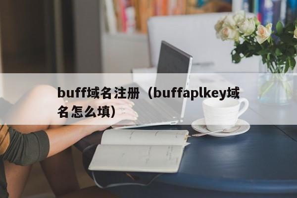 buff域名注册（buffaplkey域名怎么填）